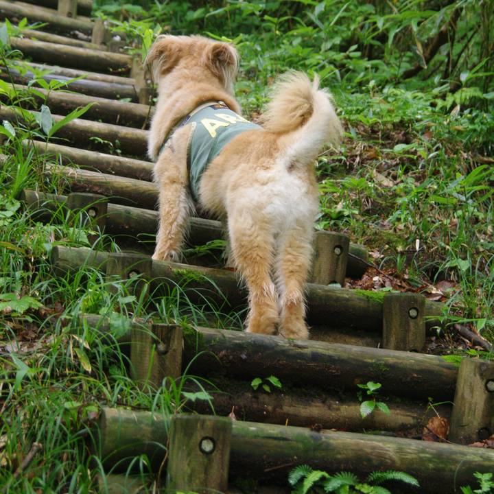 8a673b47 5b77 478c 9c24 904035563973