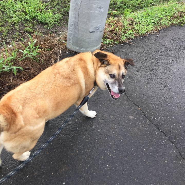 8a673db3 a72b 4bbd a306 17a287186df3