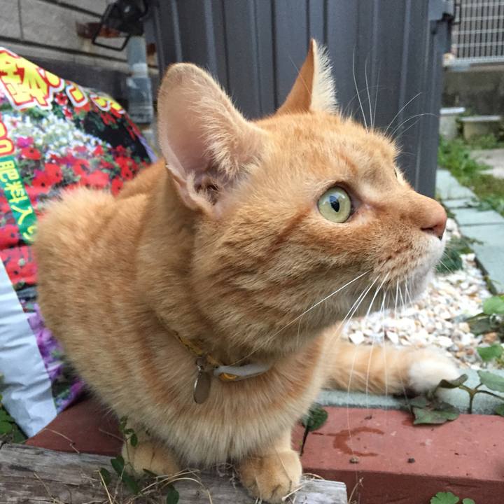 8a67cf62 209c 4d6c bec2 c531064d590d