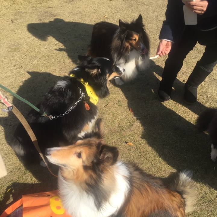 8a680740 b283 4915 bc8b c4b312b8cd57