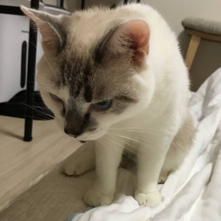 8a68a9f3 8e02 4e3f a6ba 6858f2973cff