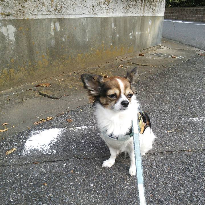 8a68c6c1 ac07 4ca0 9a61 90ed9c029c03