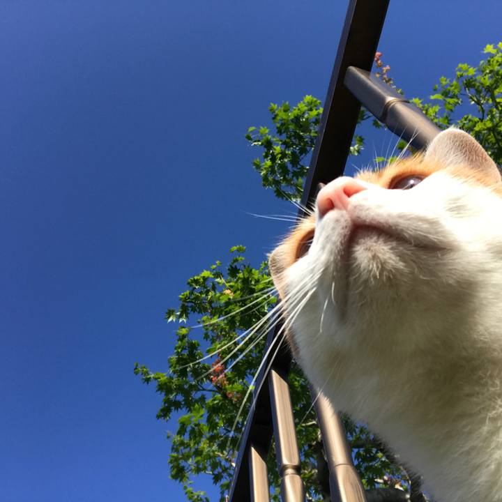 8a68d224 589f 4c66 ba32 f7f6cb04691b