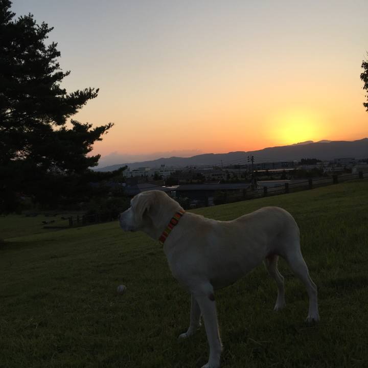 8a695fb4 c2d1 4939 b810 5946a9c6184b