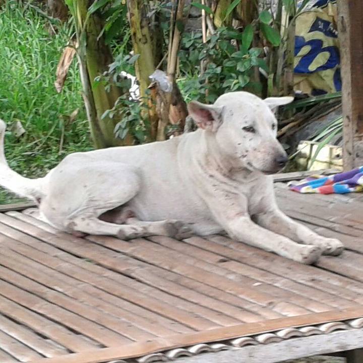 8a6b5aca 8cd8 42c7 8a47 60af6342e344