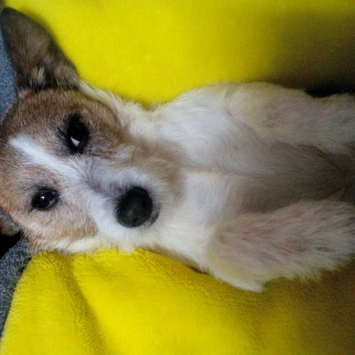 8a6bbcc4 89ed 4bbe 950e 4219d0f6ea4d