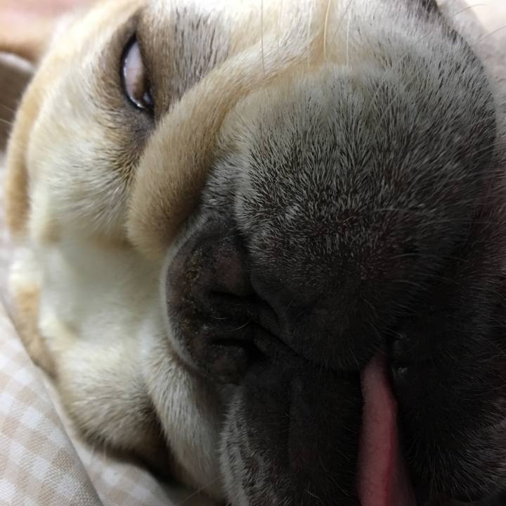 8a6bc267 aac1 44eb 8192 c41fab9dbb7d