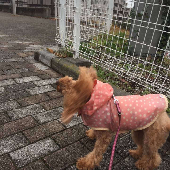 8a6c7b73 fbb2 4db0 8dfe e139b8901a79