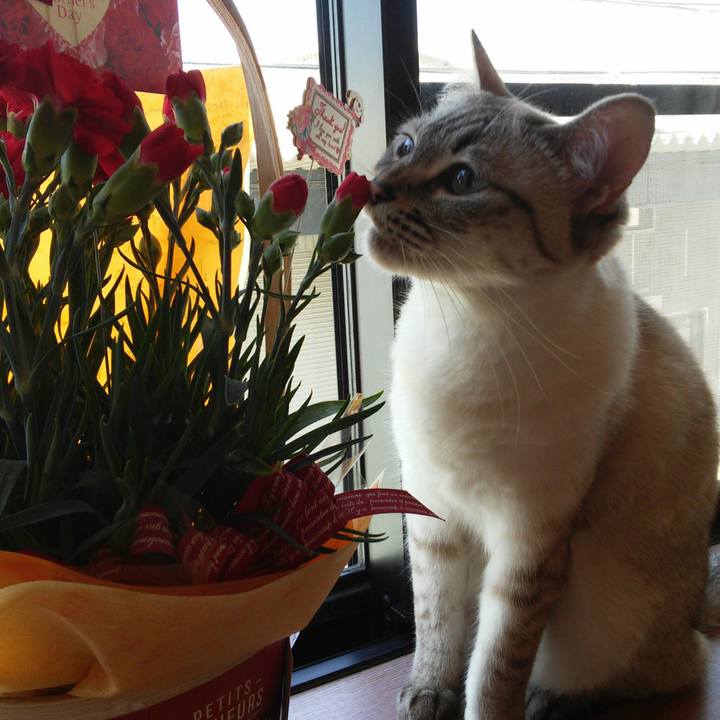 8a6cb49d 1ad5 4719 a10e 50abac37395e