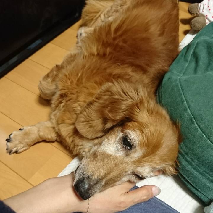 8a6cc801 3e73 4cd2 b1fd 1b1e9a177c4b