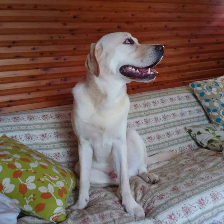 8a6cd268 fc24 4d20 9acd 6b47140efb33