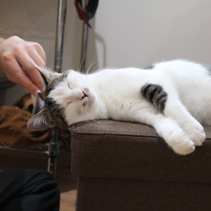 8a6d090a 9e7a 4636 90ac cb4d7a292fcf