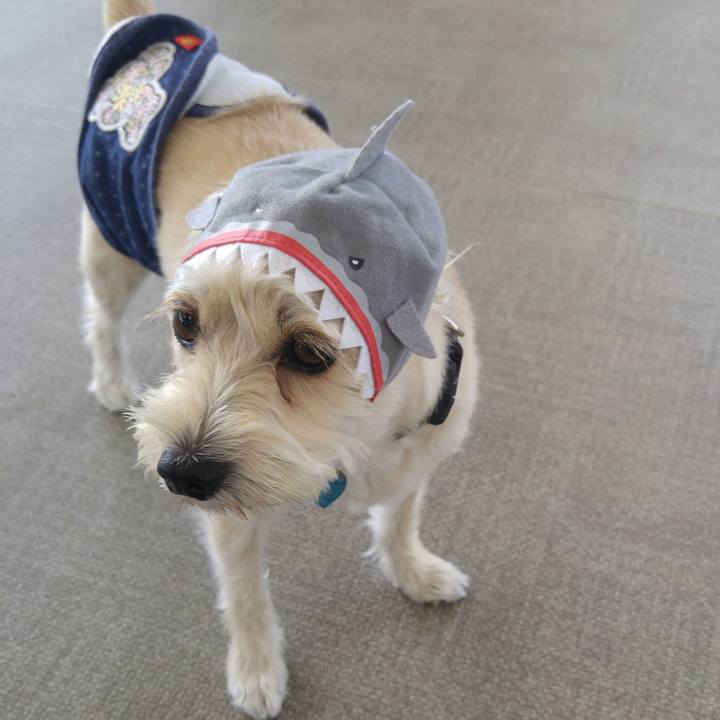 8a6d0fa9 1d59 4959 acee d35289e2b227