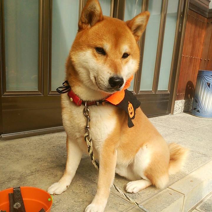 8a6dbc9e d623 4f1b 93c7 08c53dffcaa2