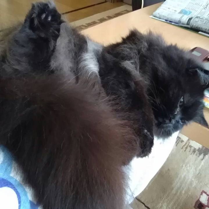 8a6dbea4 eac4 4355 8212 faf86f84fe2e