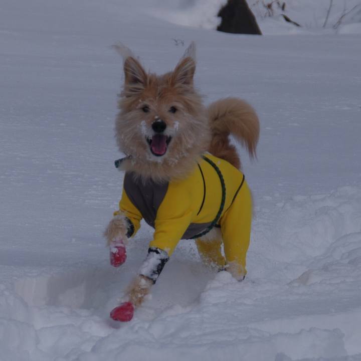 8a6ed9ee cf7a 402e b6e7 ba2f130075f7