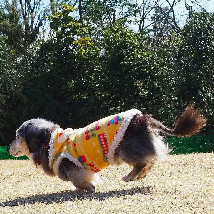 8a6fc24c b188 456c a1b4 705dd92e59ab