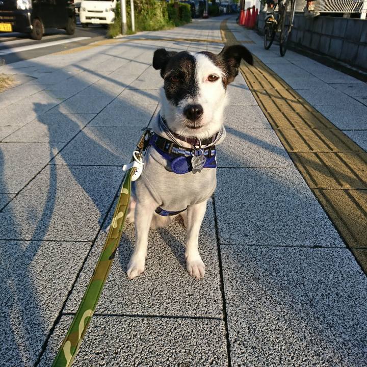 8a6ff6fa 43a2 4d0f a31e 55e55ffea460