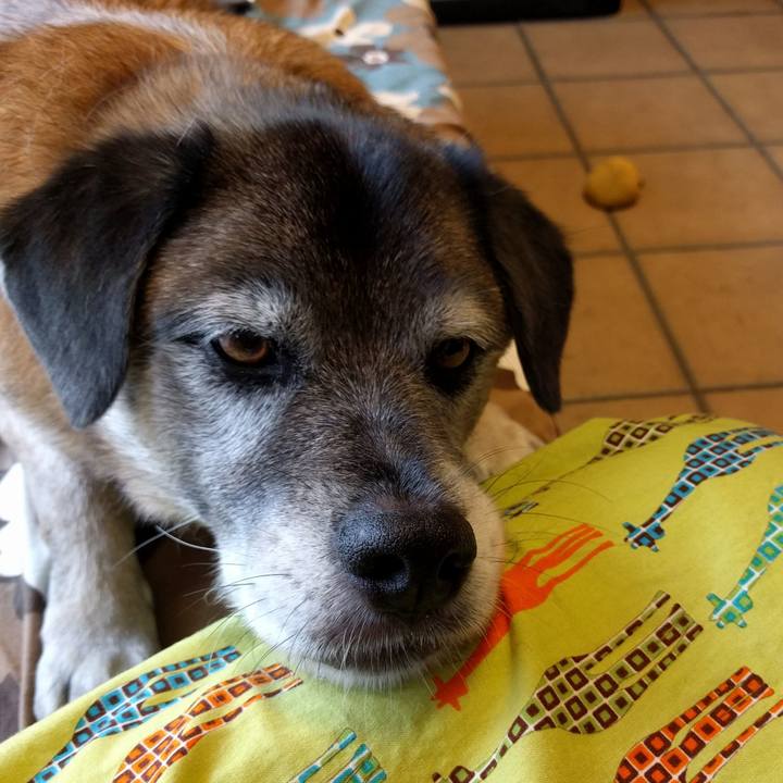 8a702b2c 4cd8 4a08 86f0 dee2fc9ff9fc