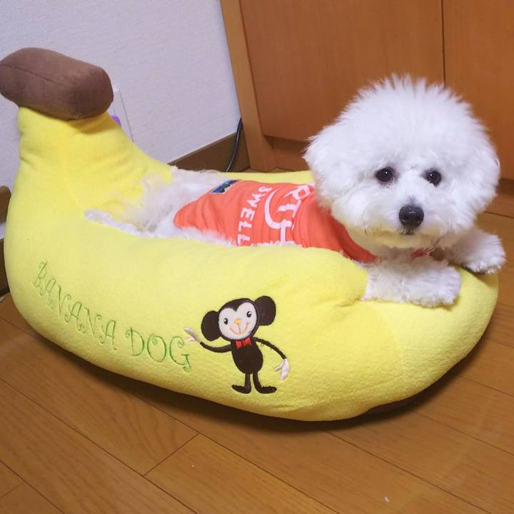 8a7043f8 3cb8 49ad 895a 4da2f990064e