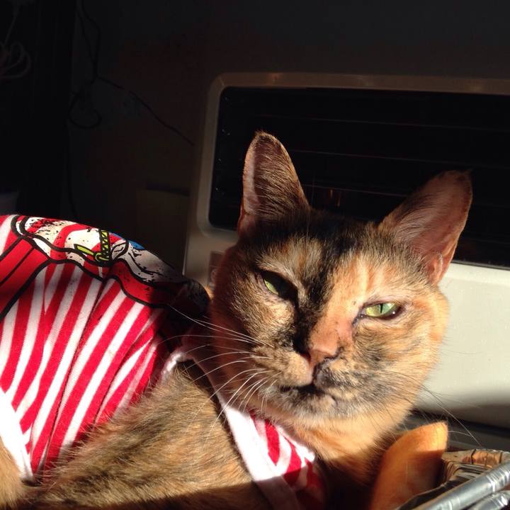 8a7144db baac 4763 955f f4e1f8ea7829