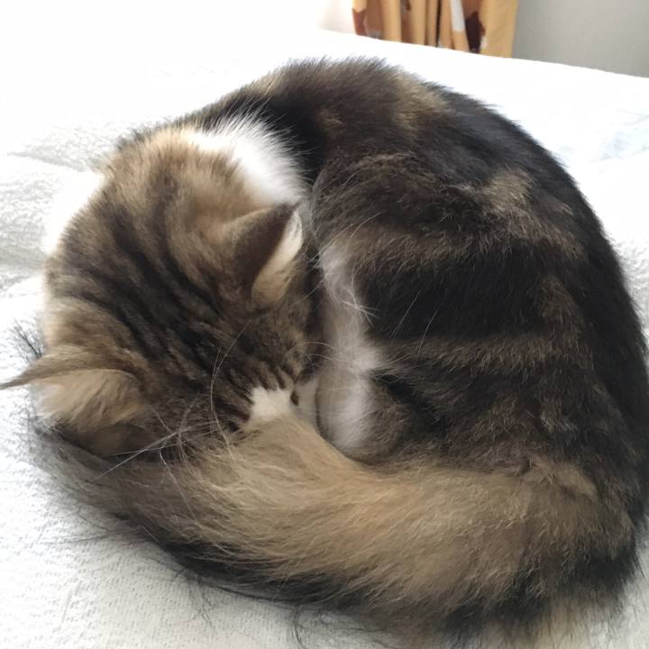 8a71dd8a 6a4e 4def 88dd bb95ef6afb97