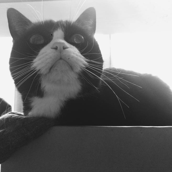 8a7251b9 f235 4d44 943f 88358224035a