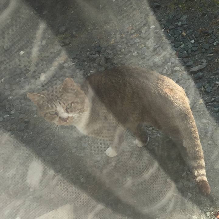 8a72ceaf 2825 41f2 9367 3566816f7ae0