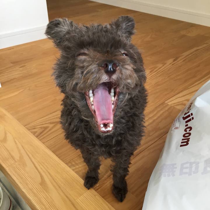 8a72d855 69d0 4633 8b59 f87a23550c5a