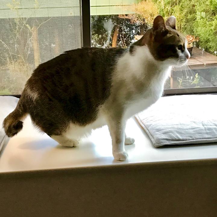 8a7380bd c1d6 4d3c bf52 cdbbf8c7e085