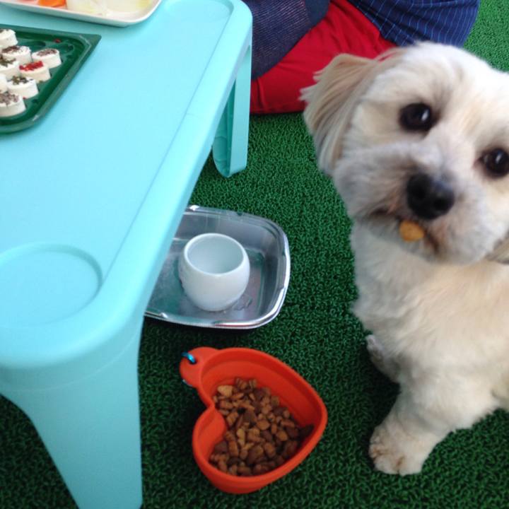 8a73da55 42f1 4e9b 80c6 be094b5cdc7c