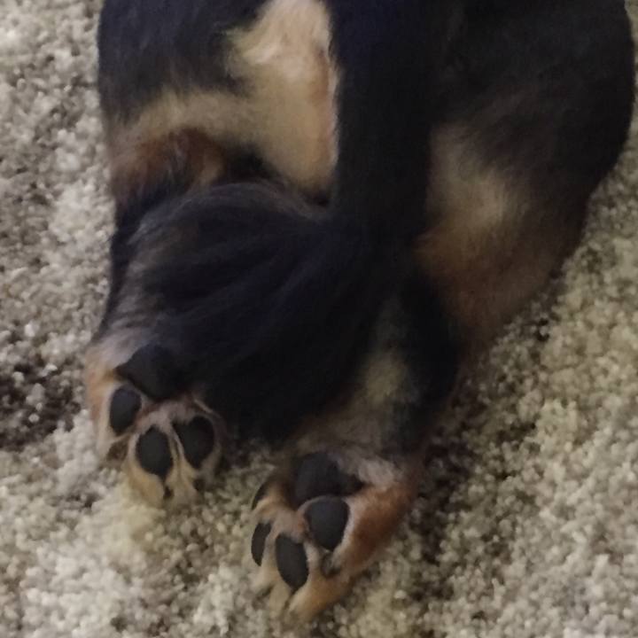 8a74173e b403 4c4b 8821 6d405b2f17dc