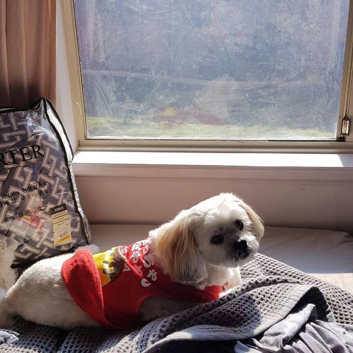 8a74bc23 b73e 4dfc b866 28e955b41887