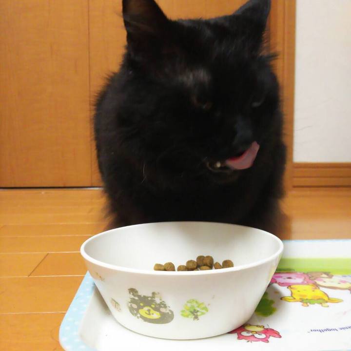 8a753593 030f 487b 8054 3f4b2b062a33