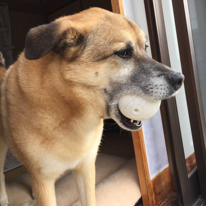 8a75848e 3868 4091 a58d b14ca9895575