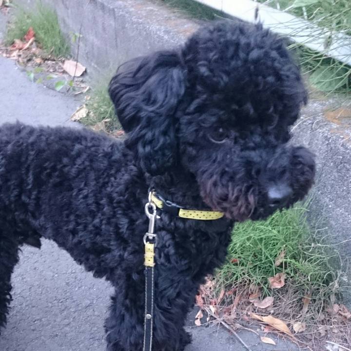 8a76fe8d dd9f 41e5 8d3c 11028db35090