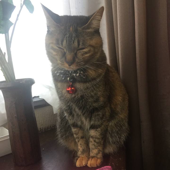 8a77a7d5 c5f0 4ca7 a851 6f7f759f03ee