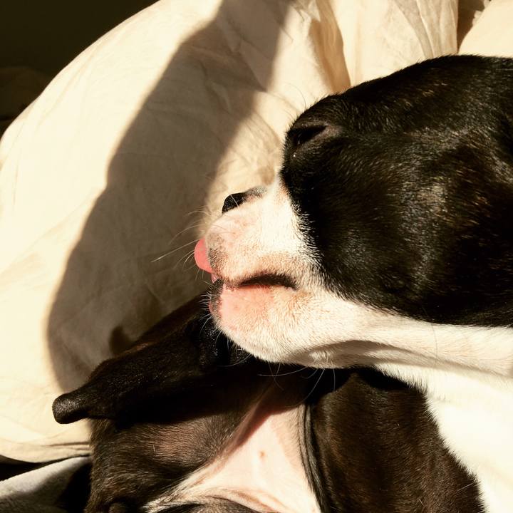 8a77ae03 914b 4c24 bd8b 044af94d0265