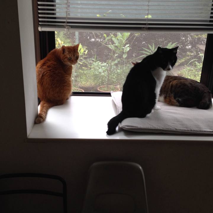 8a77ed04 04e1 49c1 9b42 cf164d7e91e2