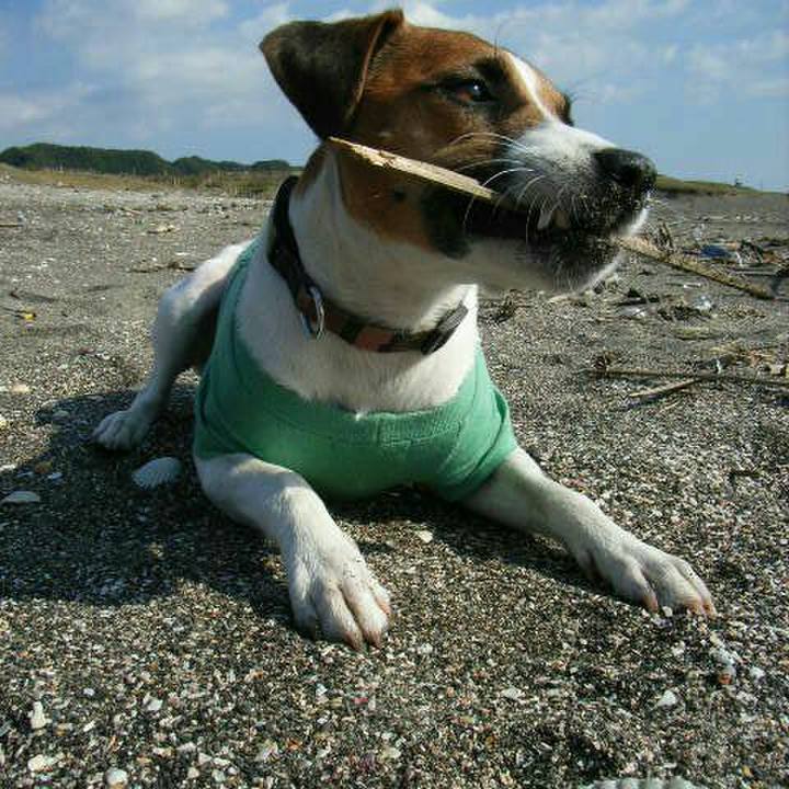 8a78d7e6 713d 4cce 87cd 28573bd03c55