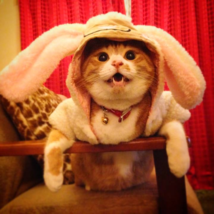 8a796754 4313 485e 8930 c74b3544e1f1