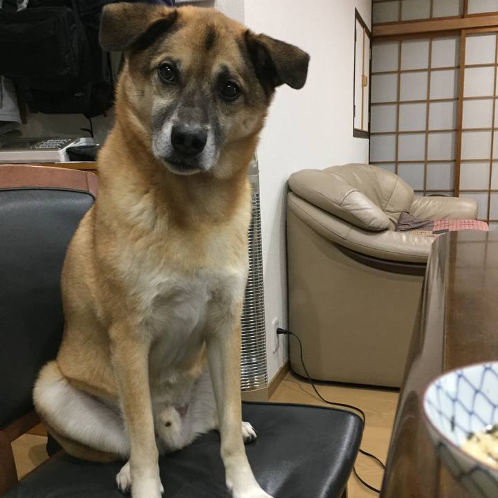 8a79806a 3b47 444c ade1 82220757aad6