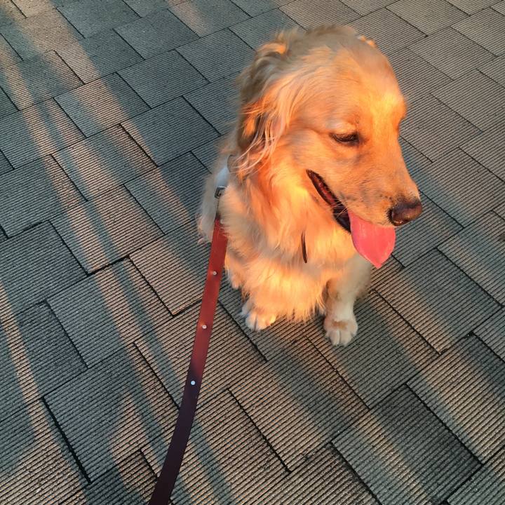 8a79e224 2228 468c b8b7 d018ebae6bfc