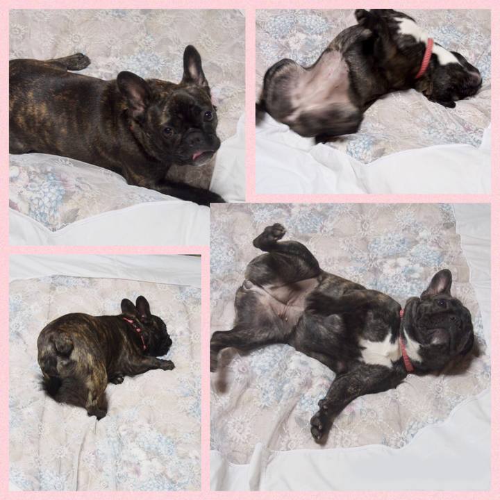 8a7a29e2 58e2 4a29 8a19 30de4870d512