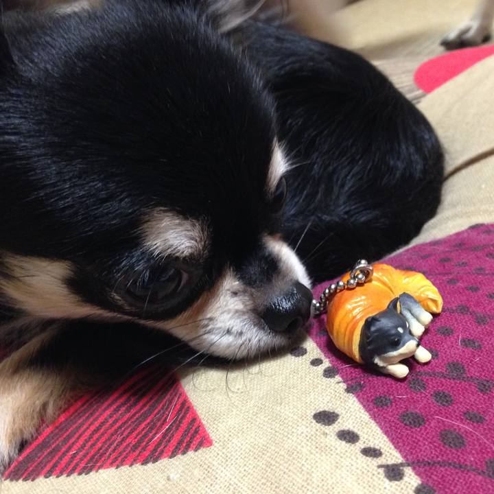 8a7a81be 051b 40a3 be9e a687640dec09