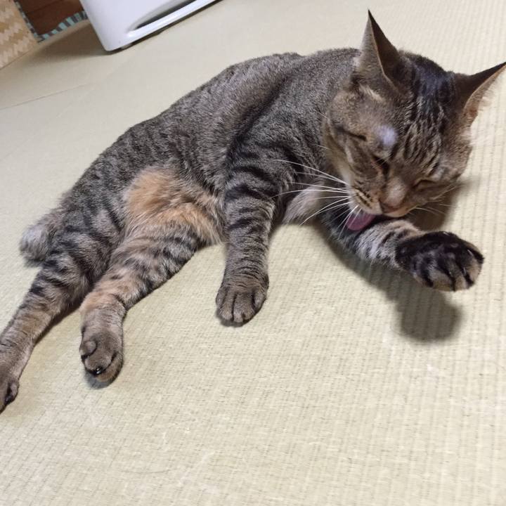 8a7acc90 1ff7 4437 af4b 1d01e47e7975