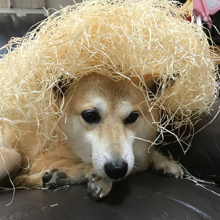 8a7ae587 63a2 4c63 a3c8 8f581c17a96c