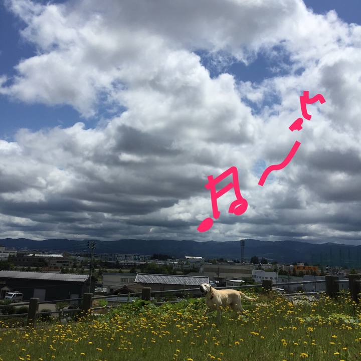 8a7af989 15c9 4119 a297 8e3474811312