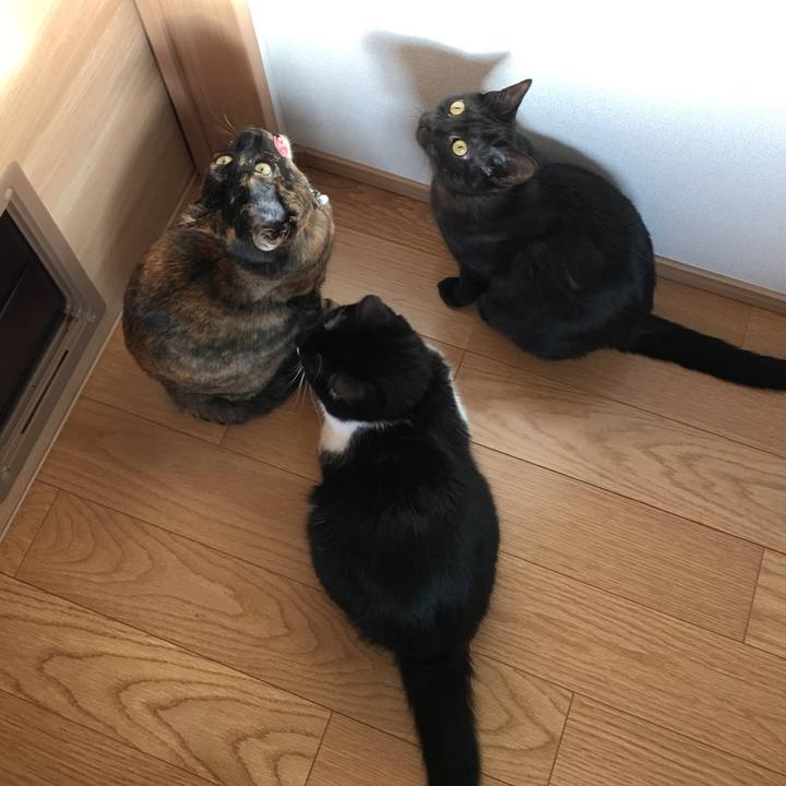 8a7d9397 6756 4b56 8720 0aa2e3f8b5f3