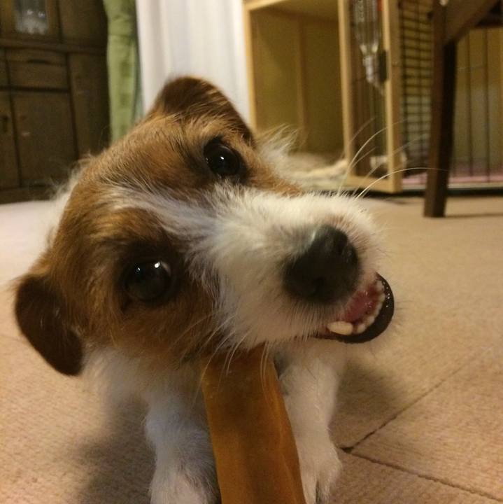 8a7da201 9d5d 4f55 8f0e 4664aa4840b8